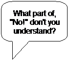 Rounded Rectangular Callout: What part of, "No!" don't you understand?
